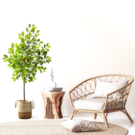 5ft. Potted Lemon Tree